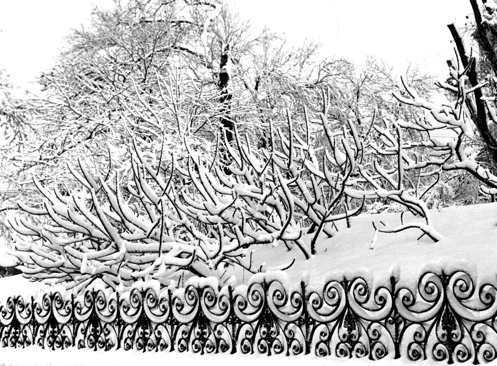 Snow at Joslyn Castle